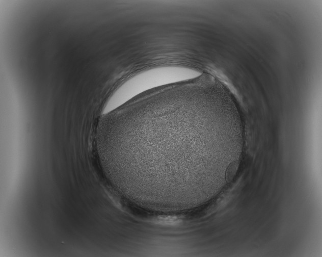 X0000086320161200704202029