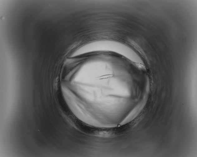 X0000086320163200704202029