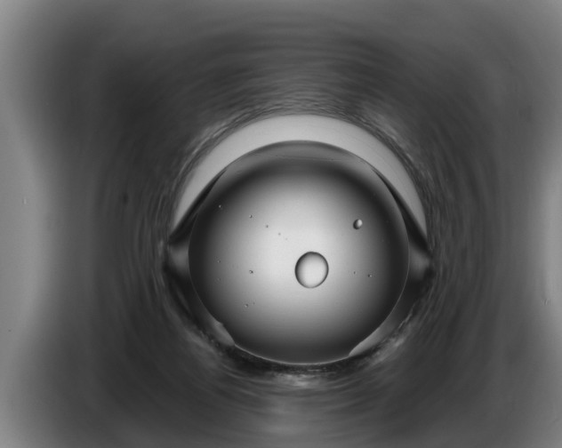 X0000086320164200704202029
