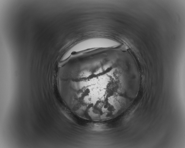 X0000086320165200704202029