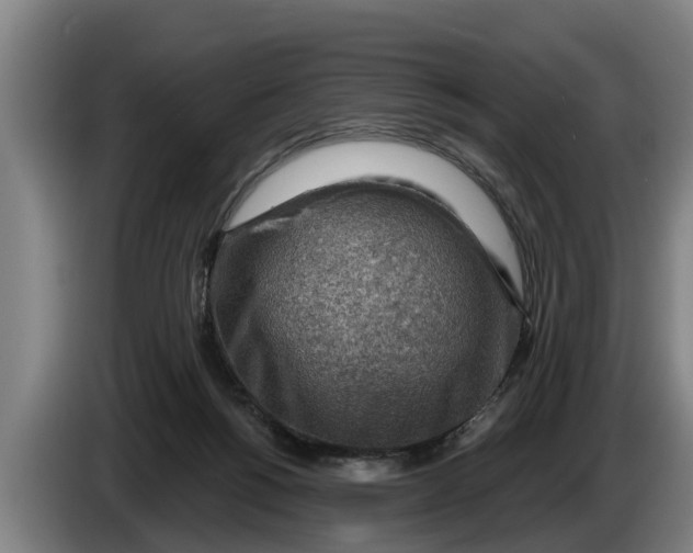 X0000086320168200704202029