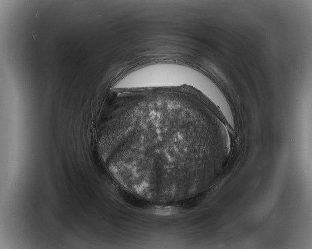 X0000086320169200704202029