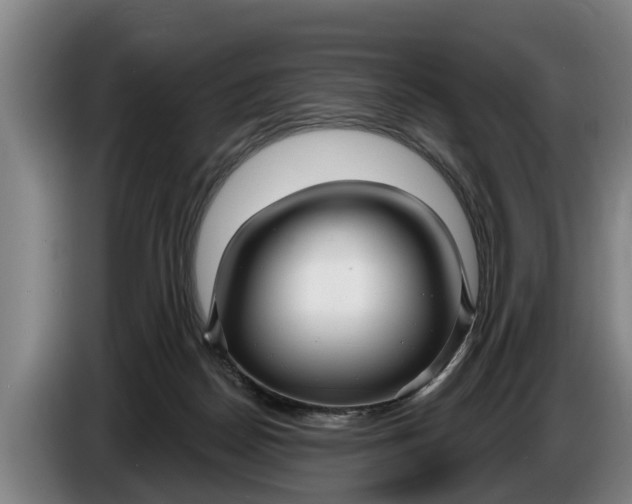 X0000086320170200704202029