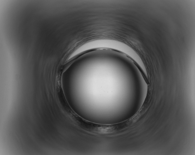 X0000086320172200704202029