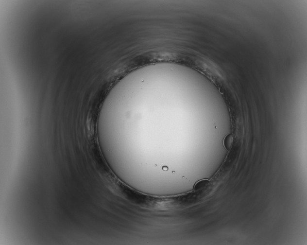 X0000086320173200704202029