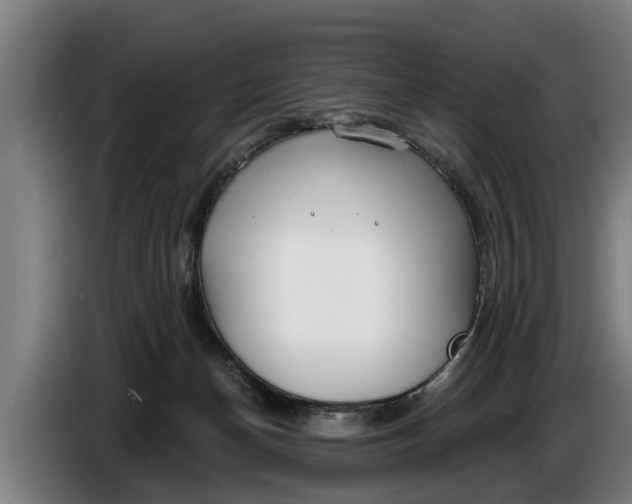 X0000086320174200704202029