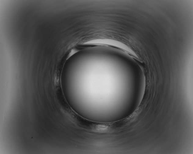 X0000086320176200704202029