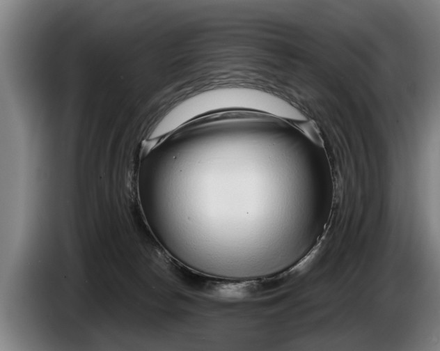 X0000086320178200704202029