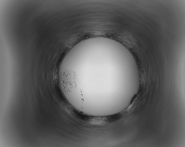 X0000086320179200704202029