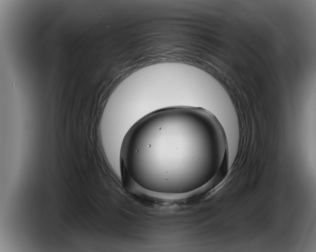 X0000086320180200704202029