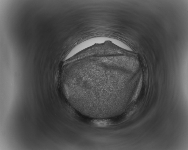 X0000086320181200704202029