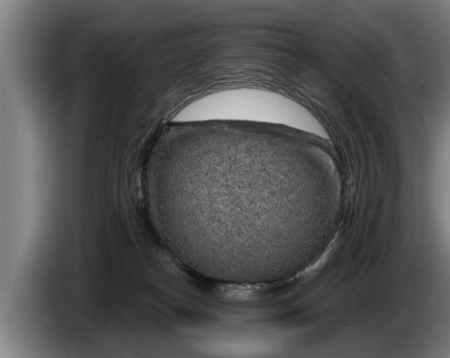 X0000086320182200704202029