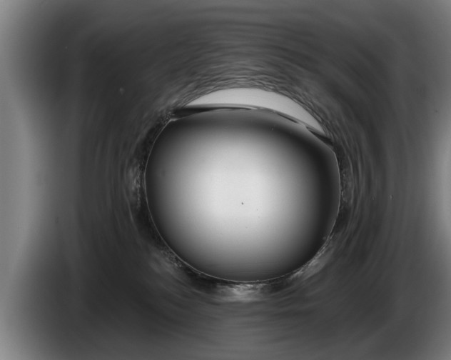 X0000086320184200704202029
