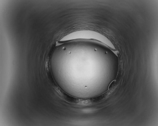 X0000086320185200704202029