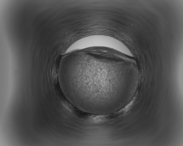 X0000086320186200704202029