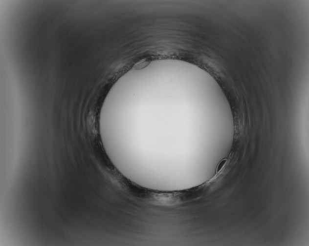 X0000086320187200704202029