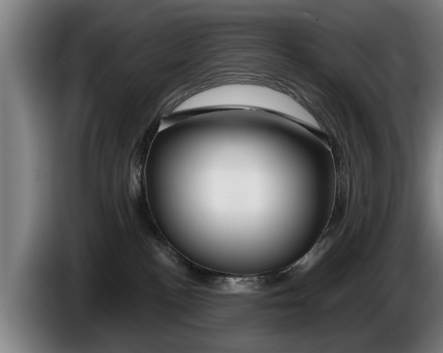 X0000086320188200704202029