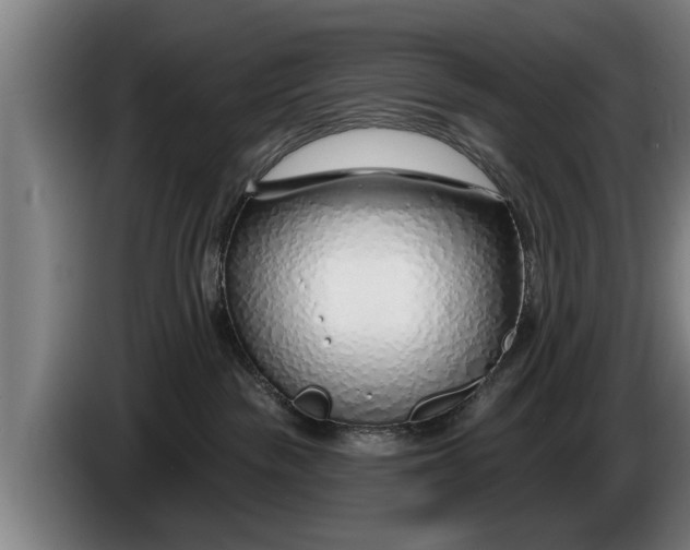 X0000086320189200704202029