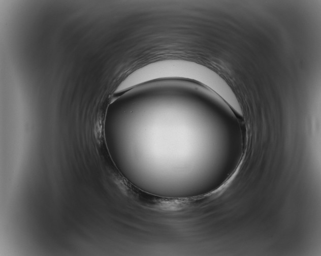 X0000086320190200704202029