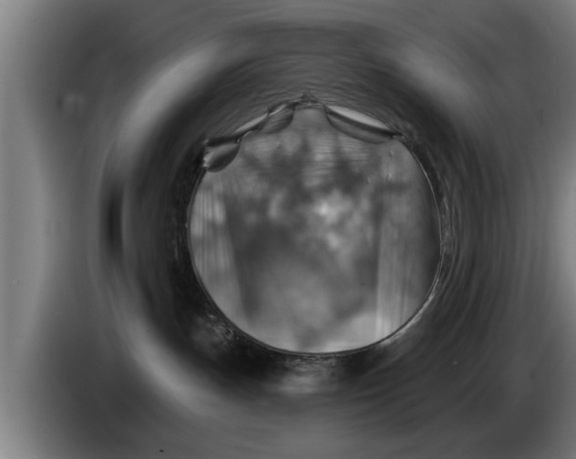 X0000086320191200704202029