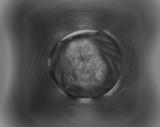 X0000086320192200704202029