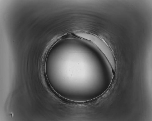 X0000086320193200704202028