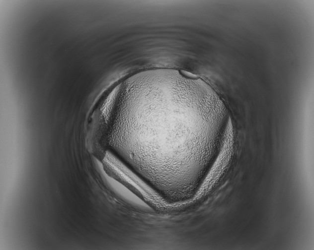 X0000086320194200704202028