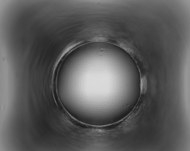 X0000086320195200704202028