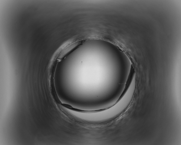 X0000086320197200704202028
