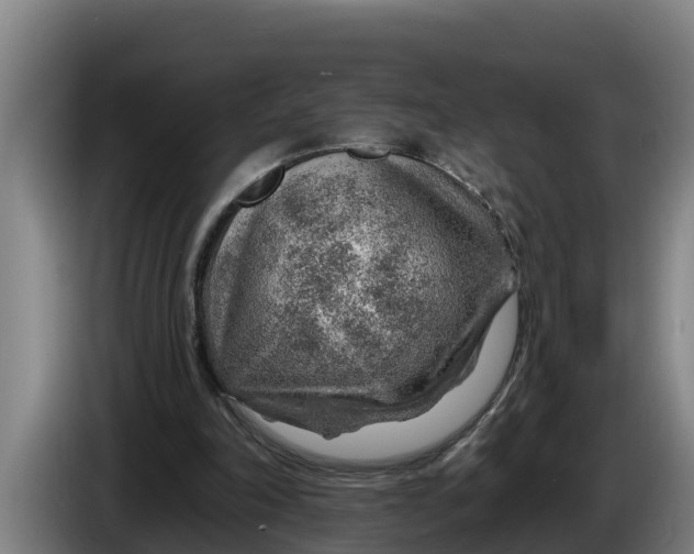 X0000086320198200704202028