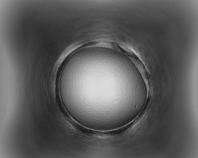 X0000086320199200704202028