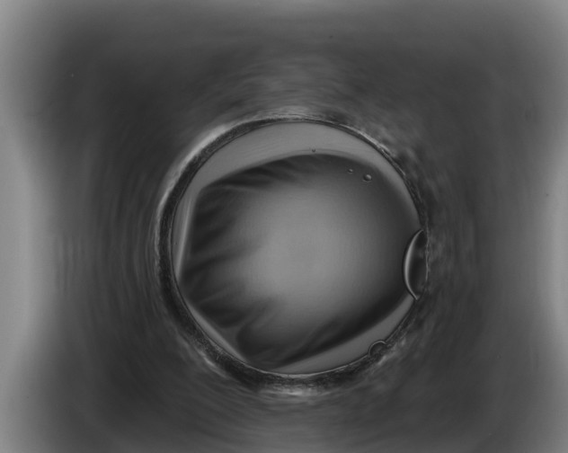 X0000086320200200704202028