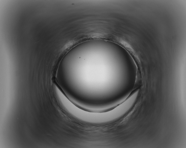 X0000086320201200704202028