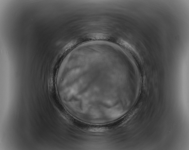 X0000086320202200704202028