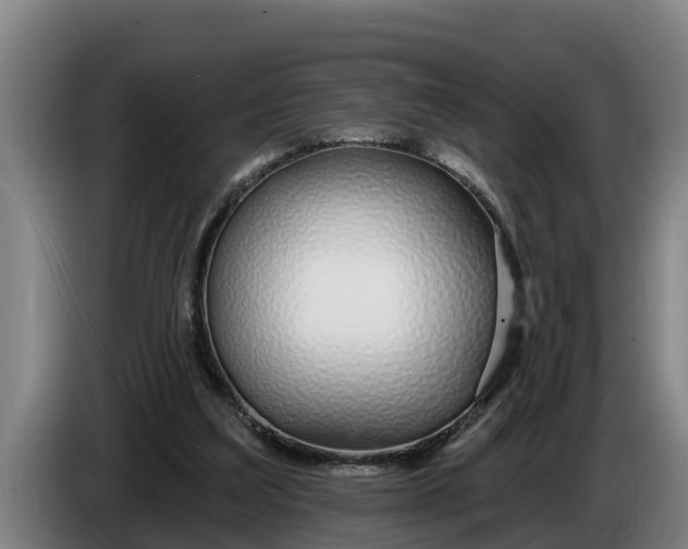 X0000086320203200704202028