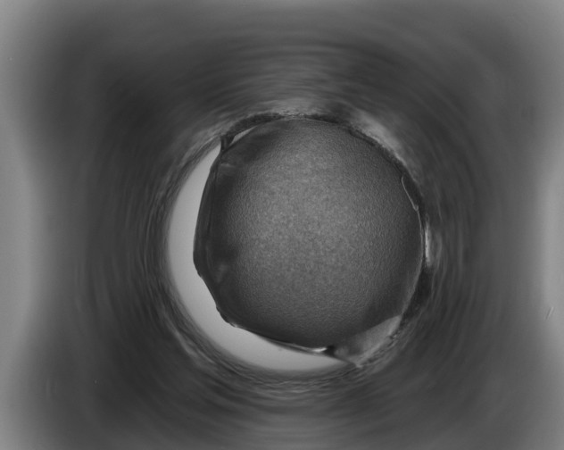X0000086320205200704202028