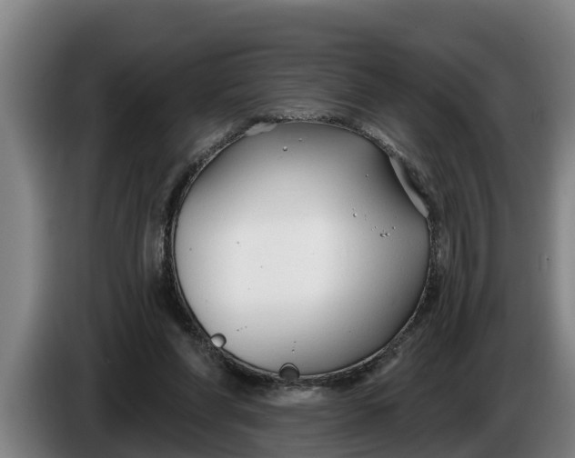 X0000086320206200704202028