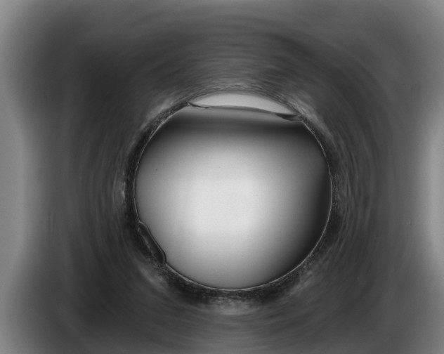 X0000086320207200704202028