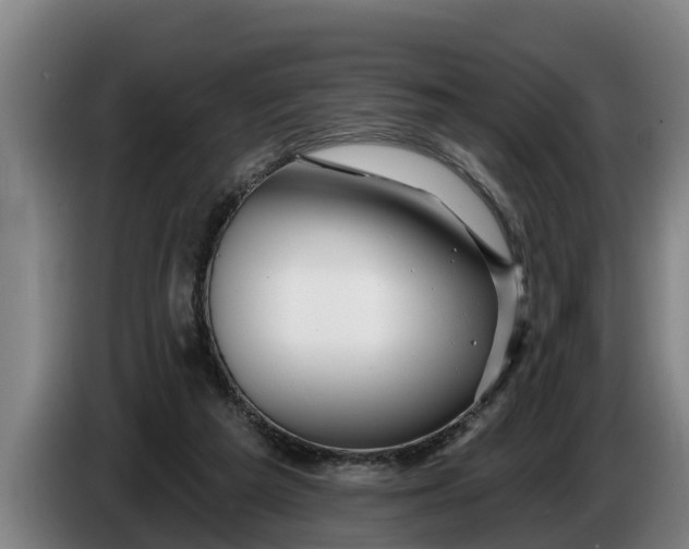 X0000086320209200704202028