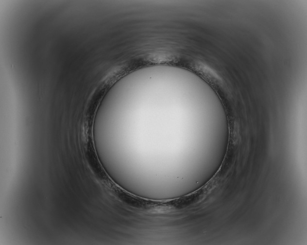 X0000086320210200704202028
