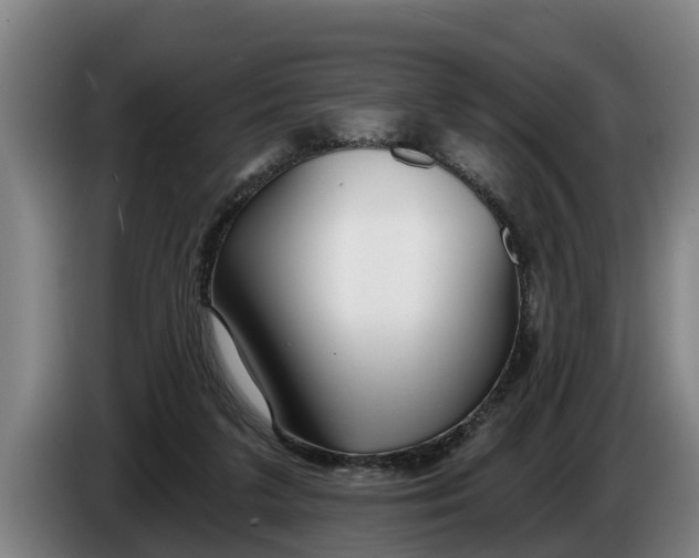 X0000086320211200704202028