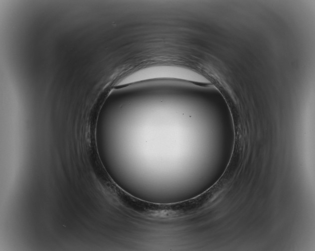 X0000086320212200704202028