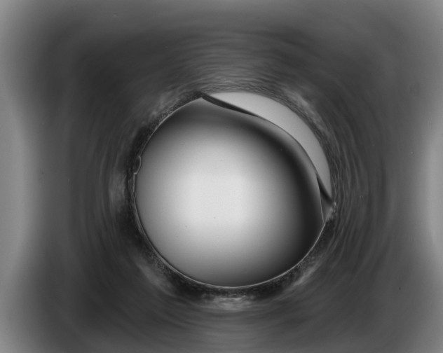 X0000086320213200704202028