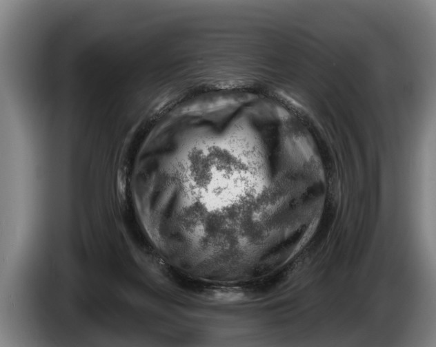 X0000086320214200704202028