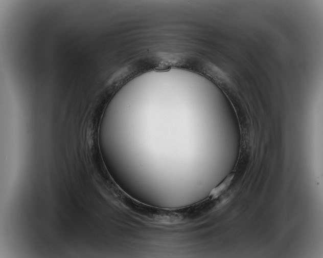 X0000086320215200704202028