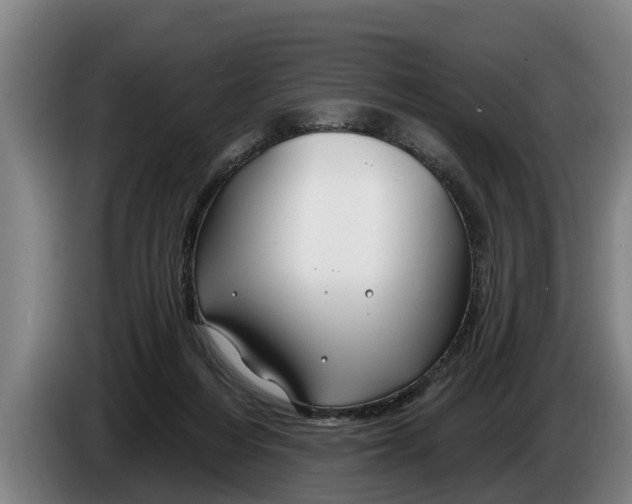 X0000086320216200704202028