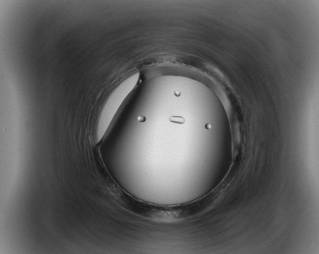 X0000086320217200704202028