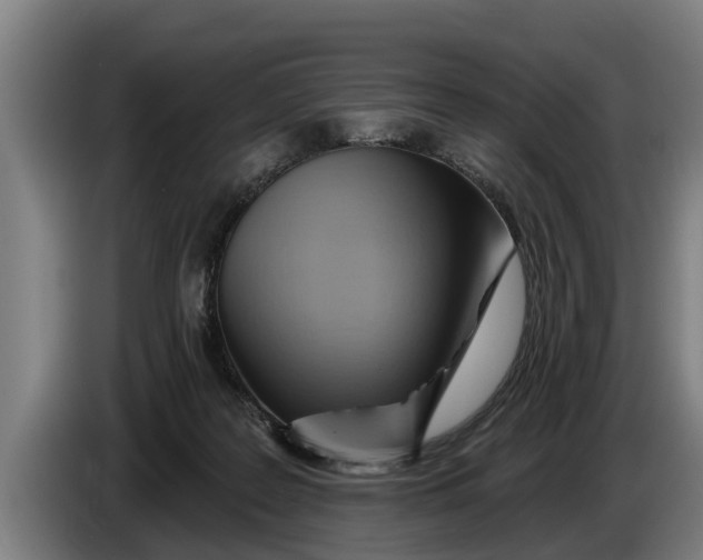 X0000086320219200704202028
