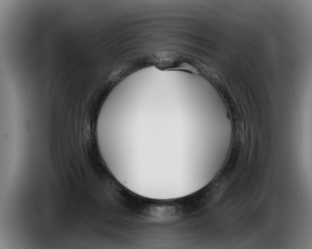 X0000086320220200704202028
