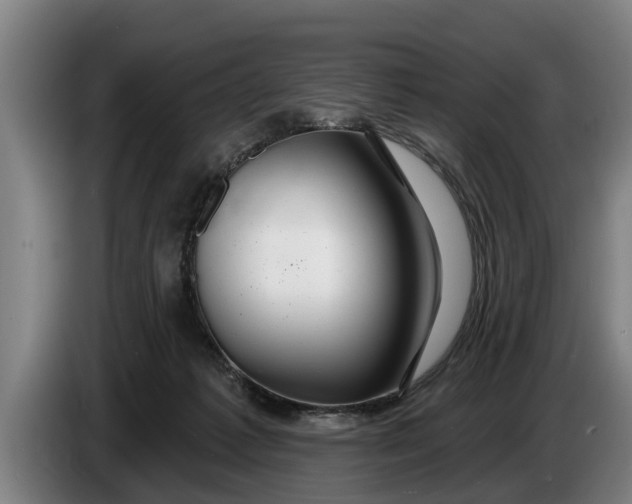 X0000086320221200704202028